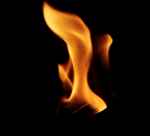 The Eternal Flame for Those Who Have the Courage to Tell the TRUTH